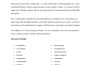 write SEO optimized website copywriting content writer